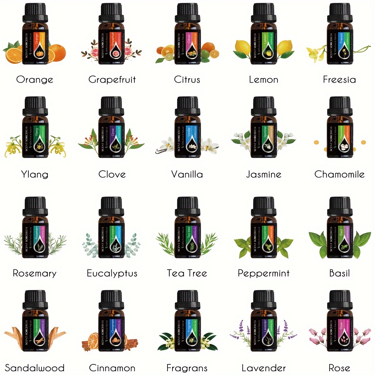 20 sztuk/zestaw Klasyczny Zest – Candle Making Oils recenzja i cena